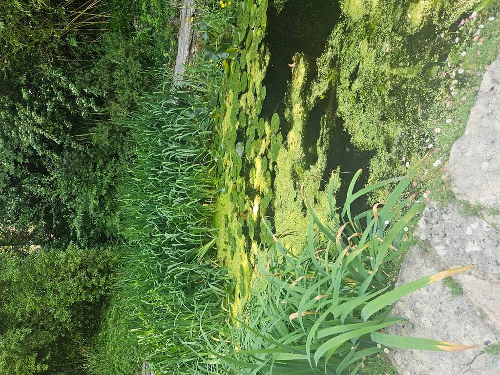 Wildlife Haven