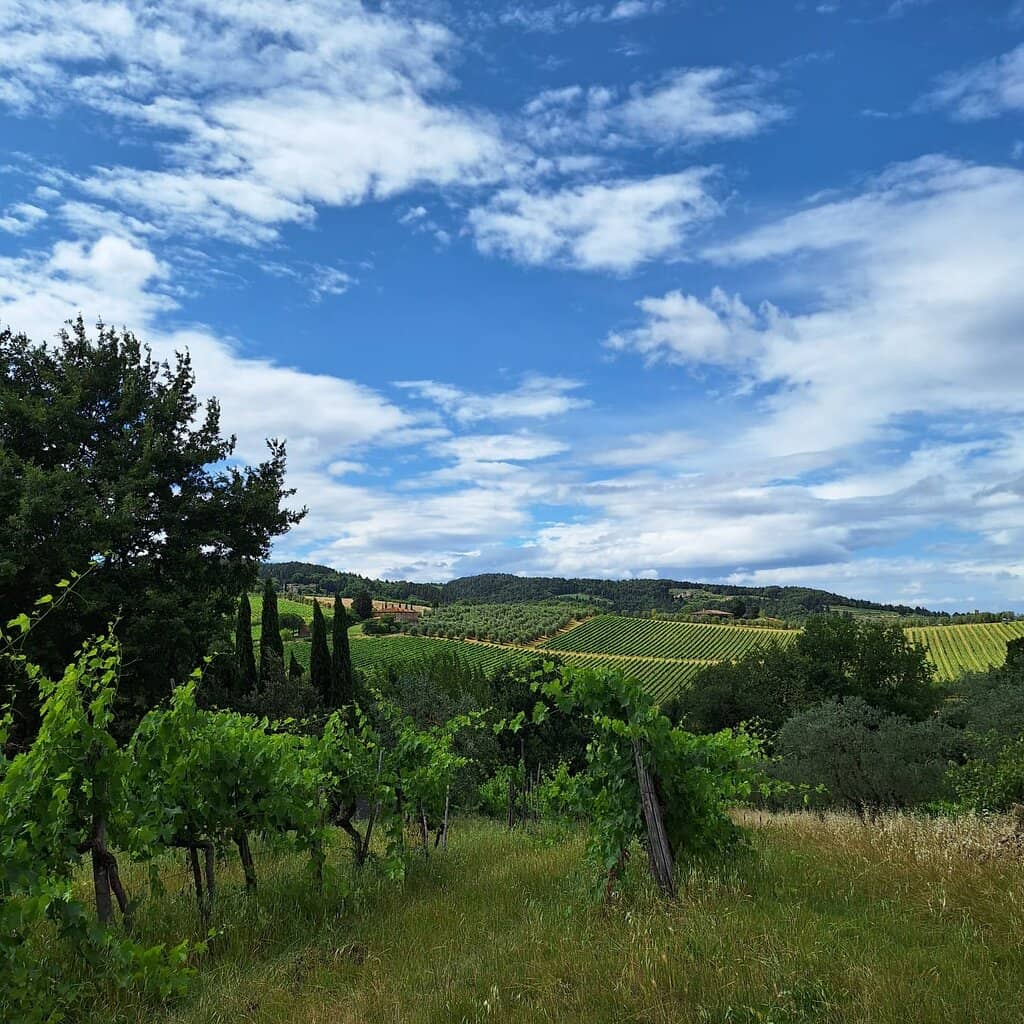 Chianti Wine Tasting