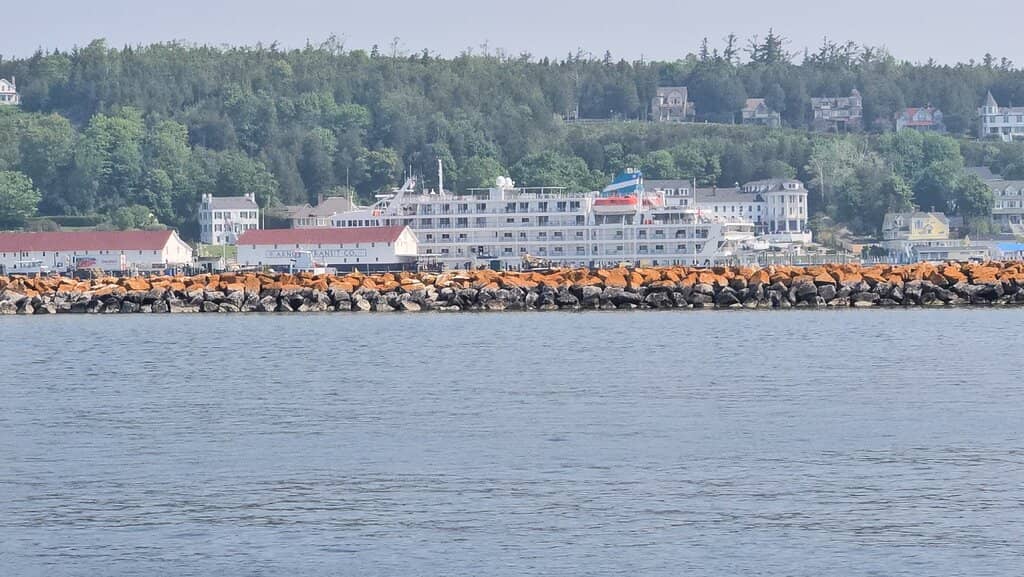 Pet-Friendly Ferry Ride