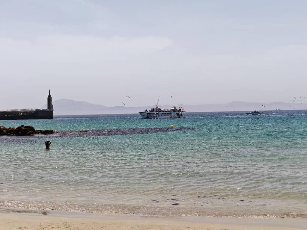 Snorkeling & Diving