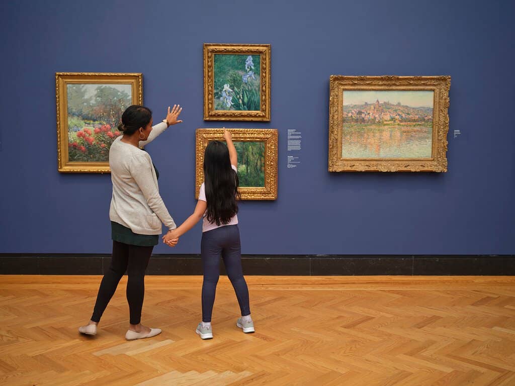 Gallery Showcases