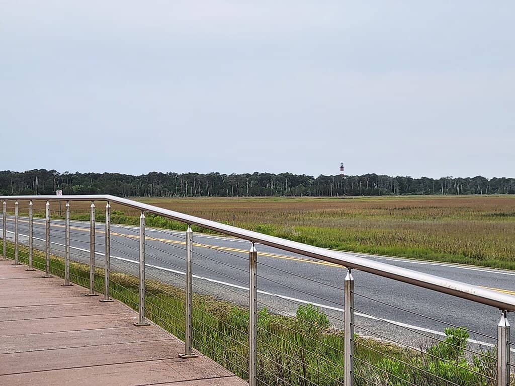 Misty of Chincoteague's Beebe Ranch