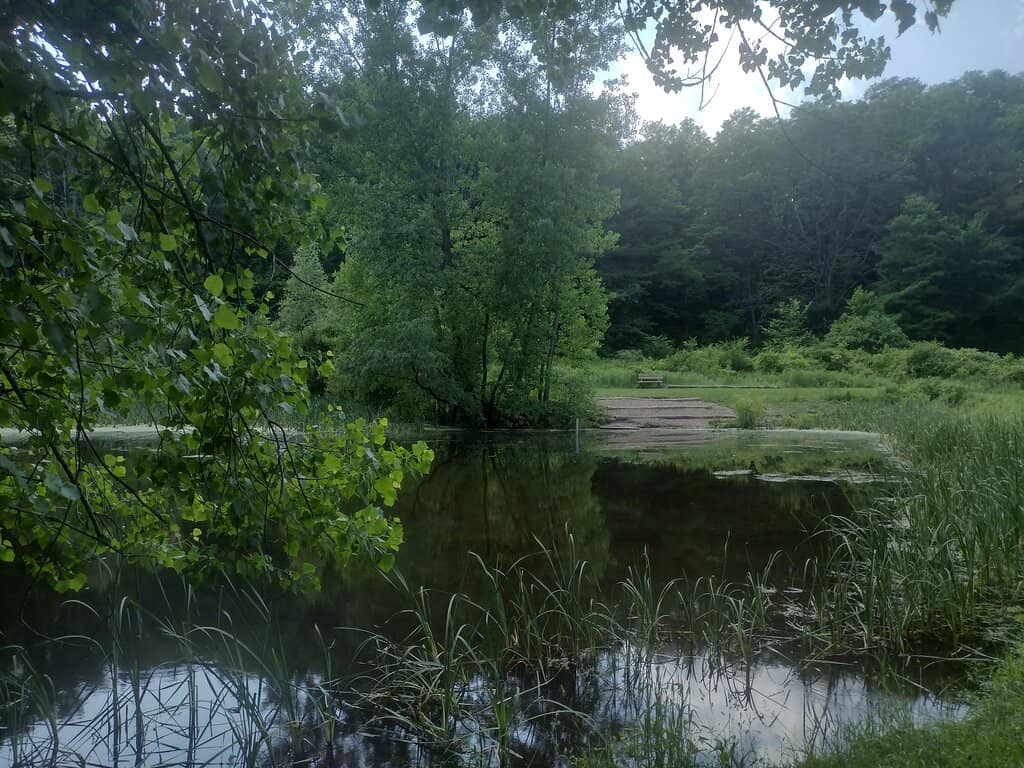Native Plant Gardens