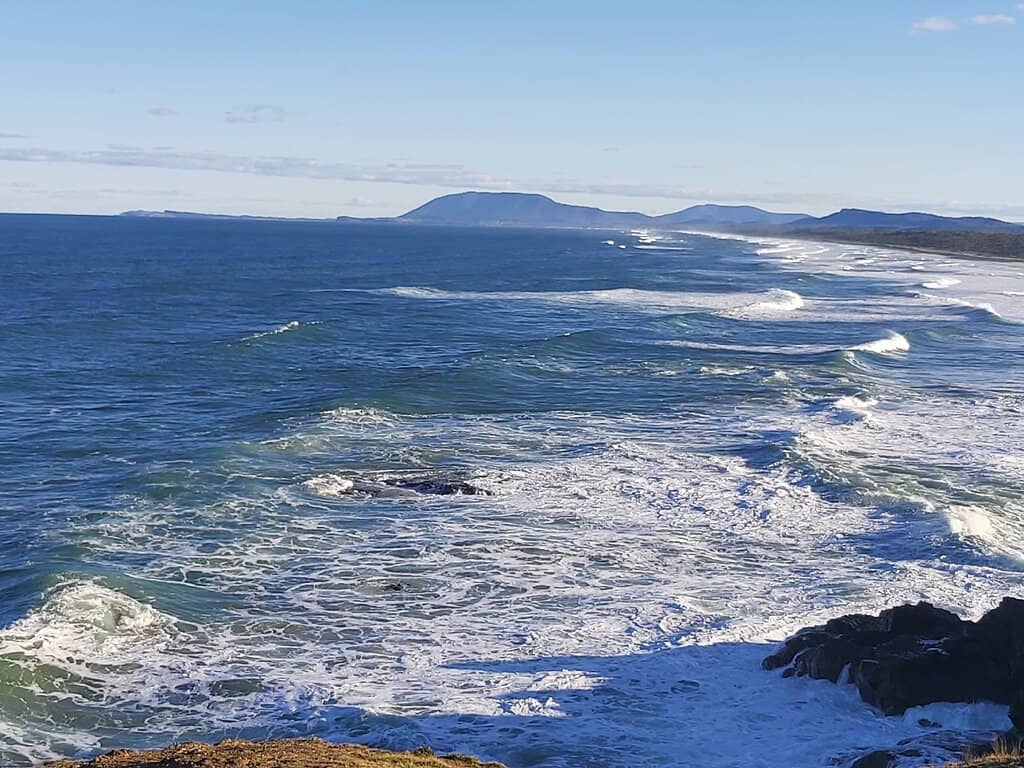 Whale Watching Spot