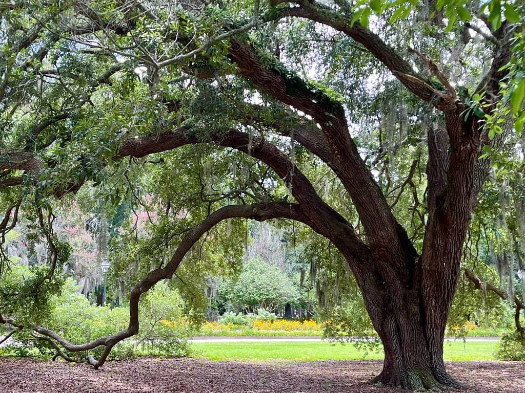 The Grand Gazebo