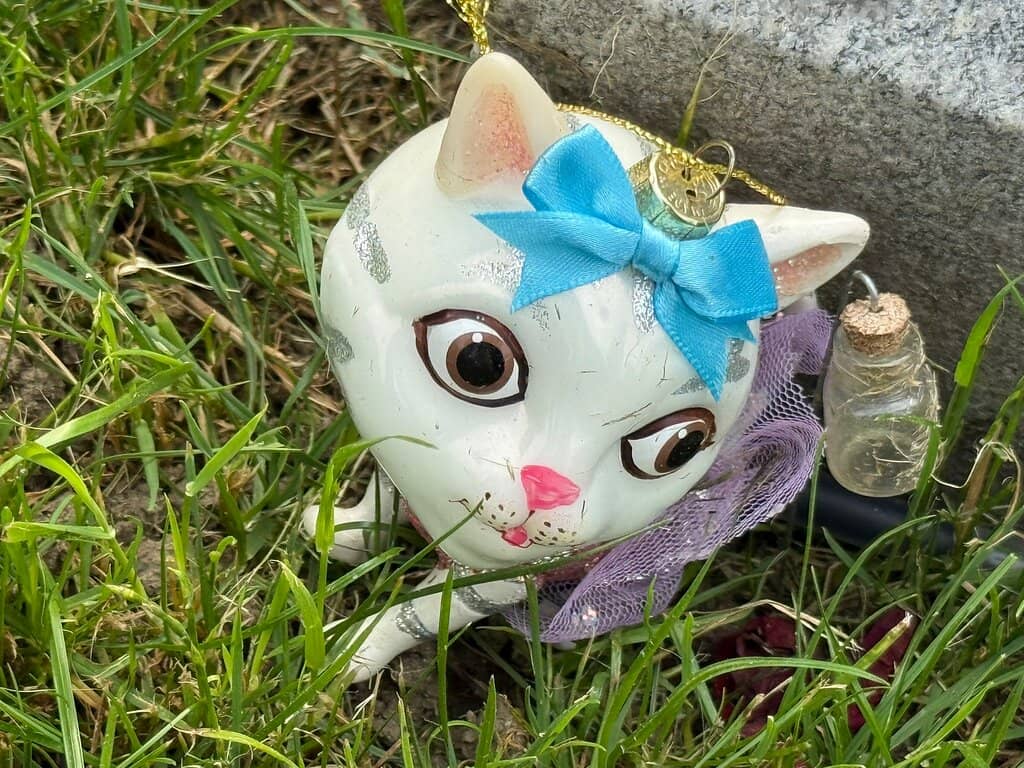 Stunning Autumn Foliage