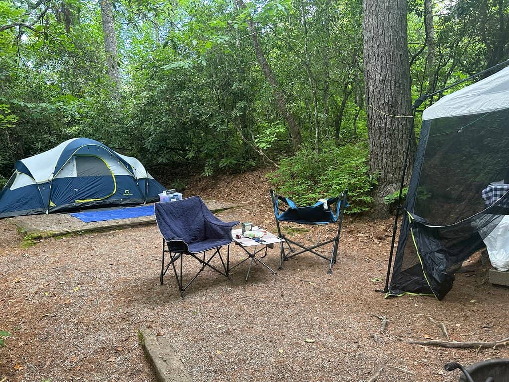 Picnic & Swim Area