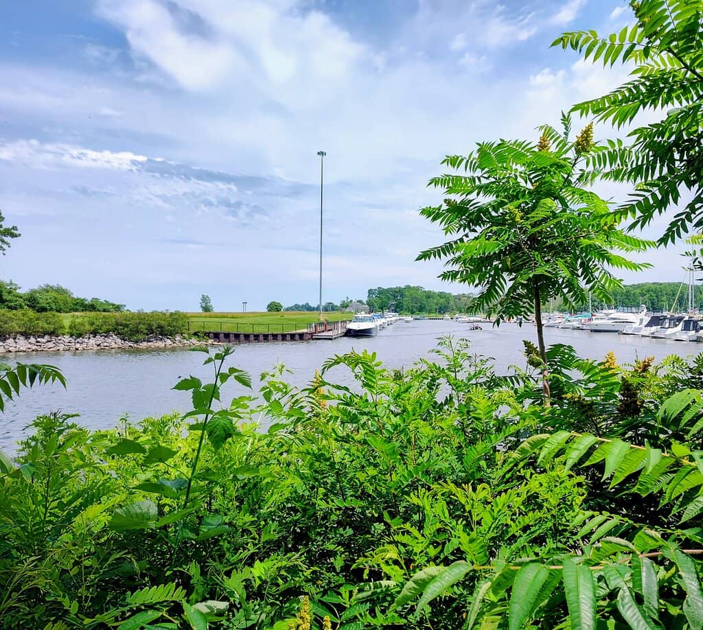 Lakeshore Trail