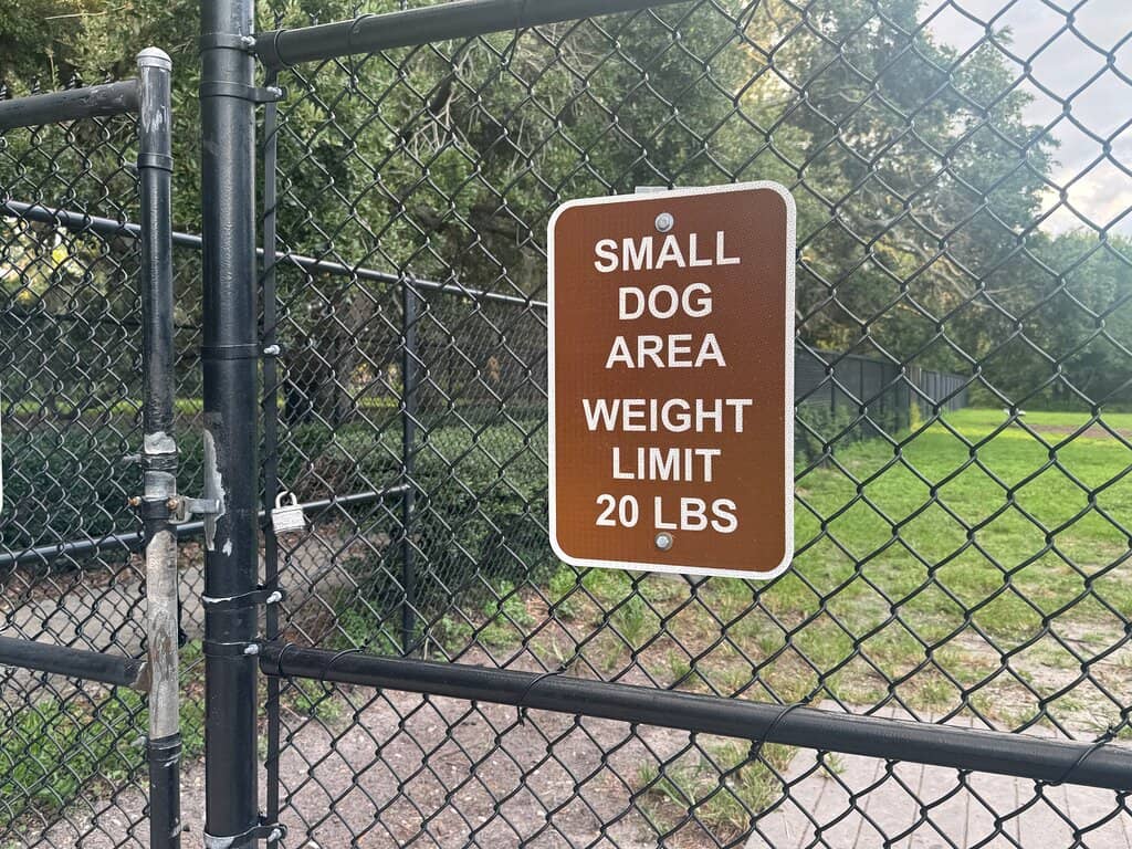 Dog Park Adventures