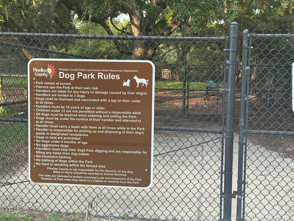Playground Fun