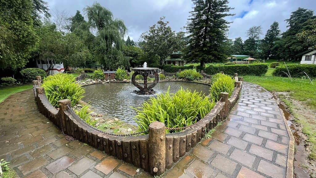 Serene Pathways