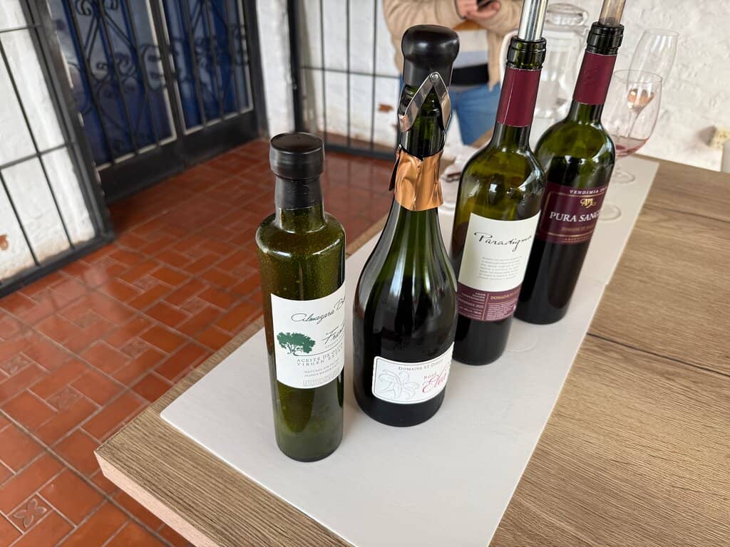 Family-Led Wine Tours