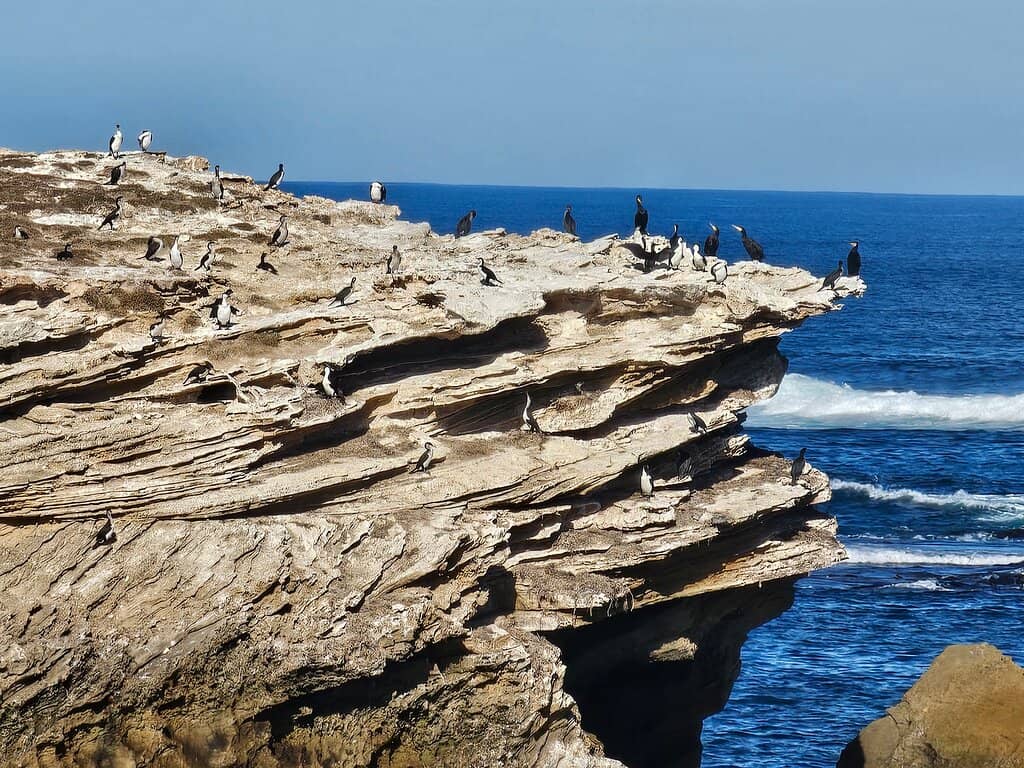 Rock Pool Exploration