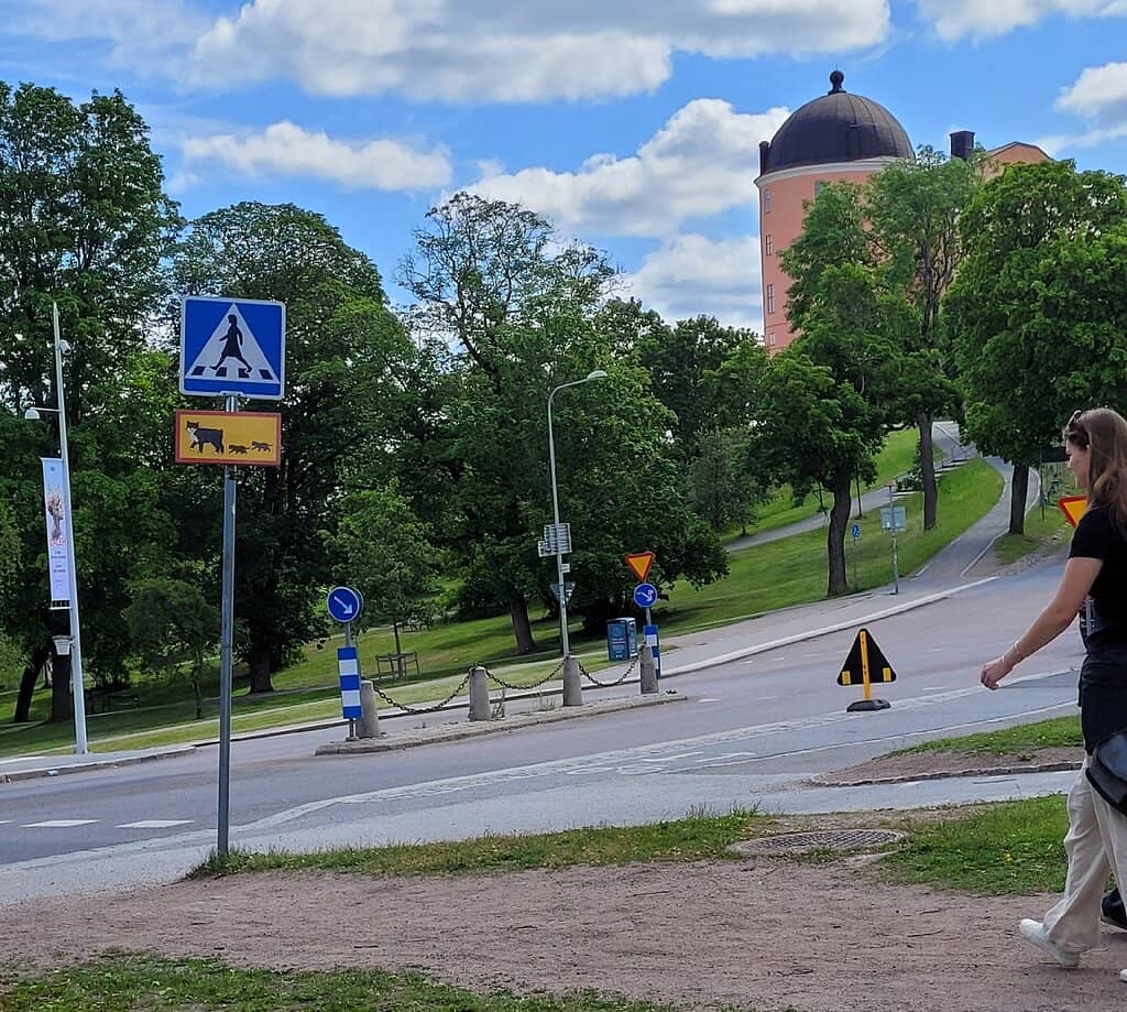 Pelle's House & Book-Themed Play