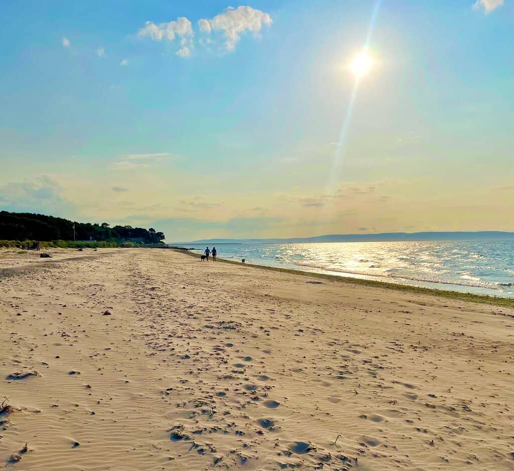 The Expansive Sands