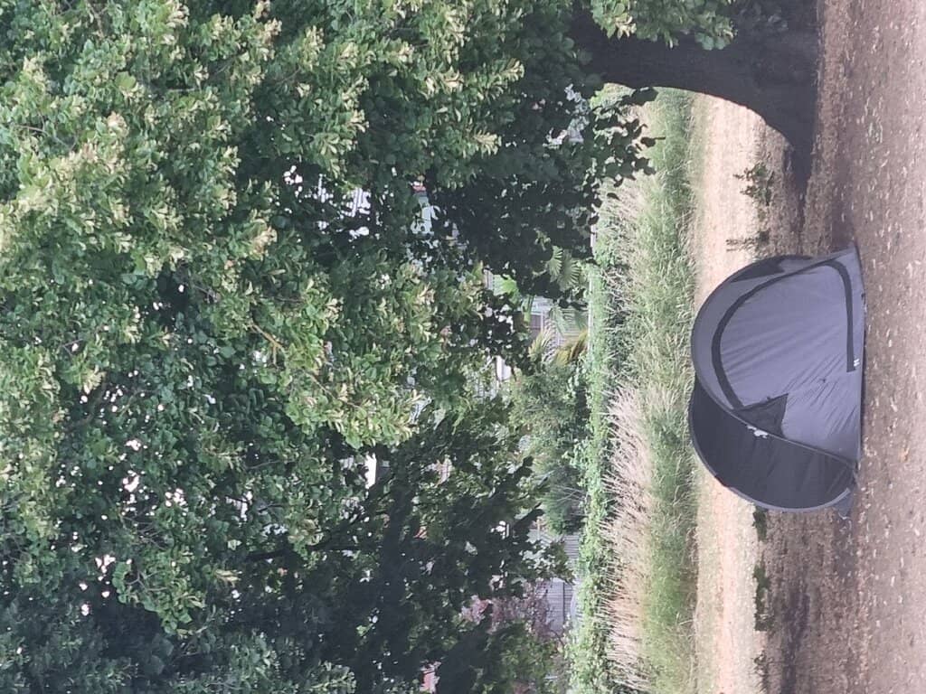 Vertical photo