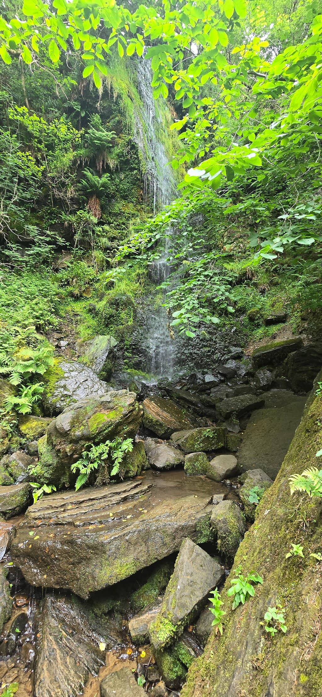 Goathland Car Park & Tea Room