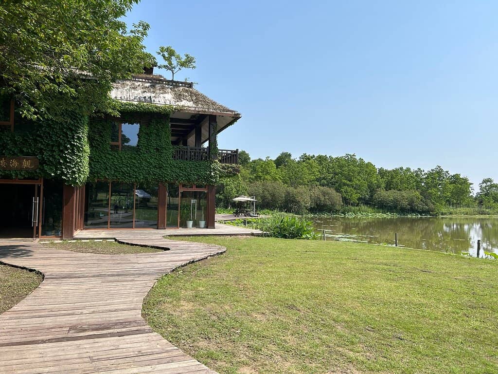 Migratory Bird Spectacle