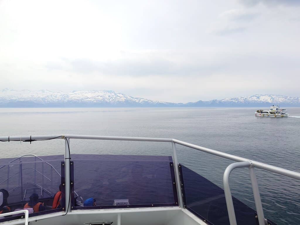 Steller's Sea Eagles (Winter)