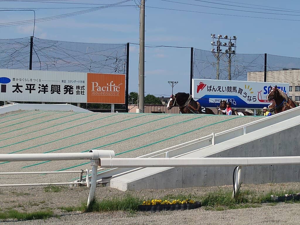 Racecourse Level Experience