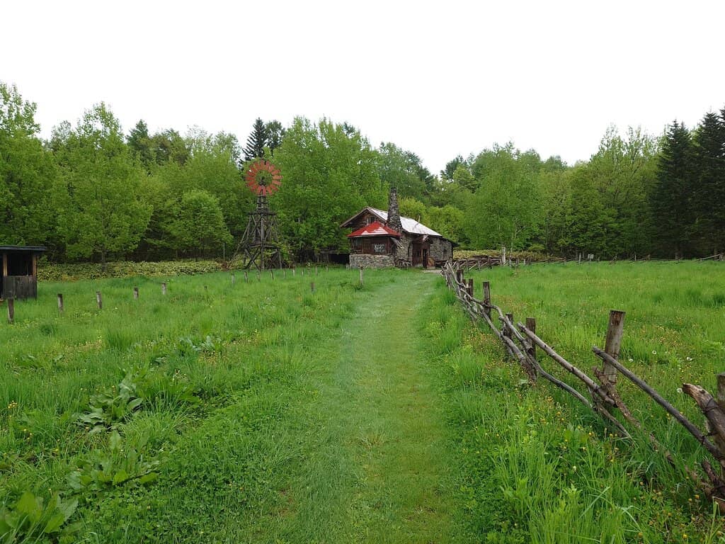 The First Wooden House