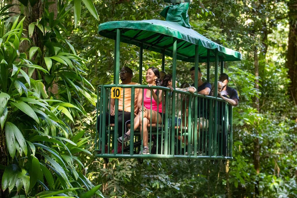 Guided Rainforest Hike
