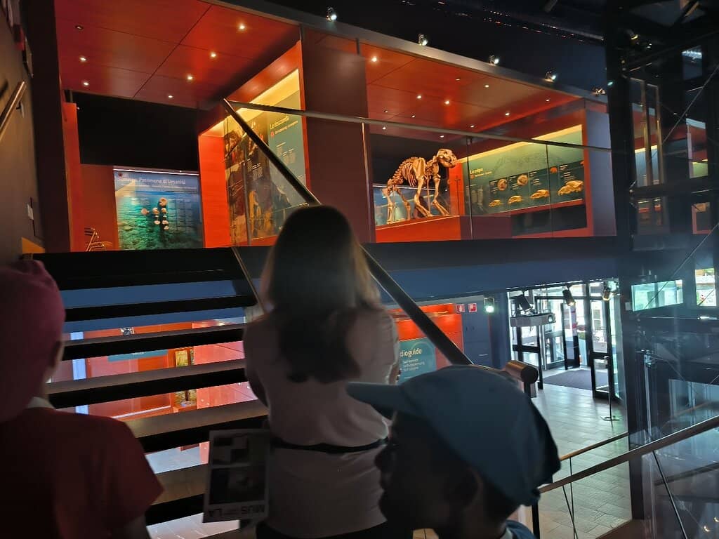 Cave-like Lower Floor