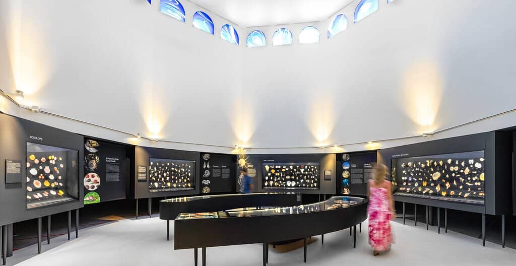 Interactive Touch Tanks