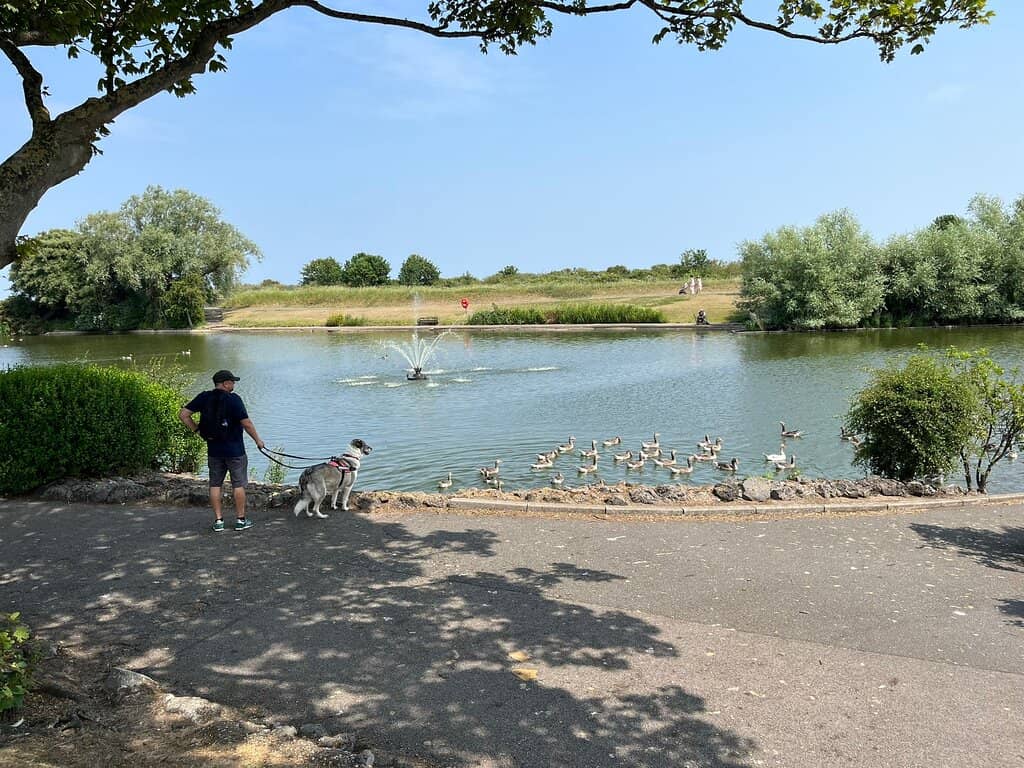 Scenic Lakeside Trail