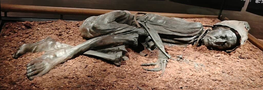 Local History Collections