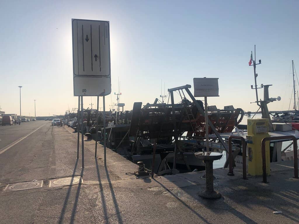 Fresh Seafood Delights