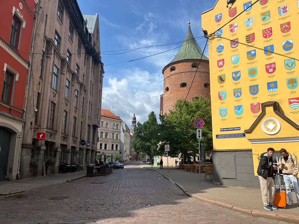 Cherry Blossom Spectacle