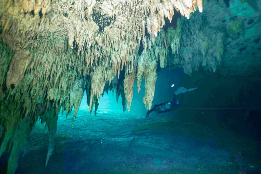 Horseshoe Reef