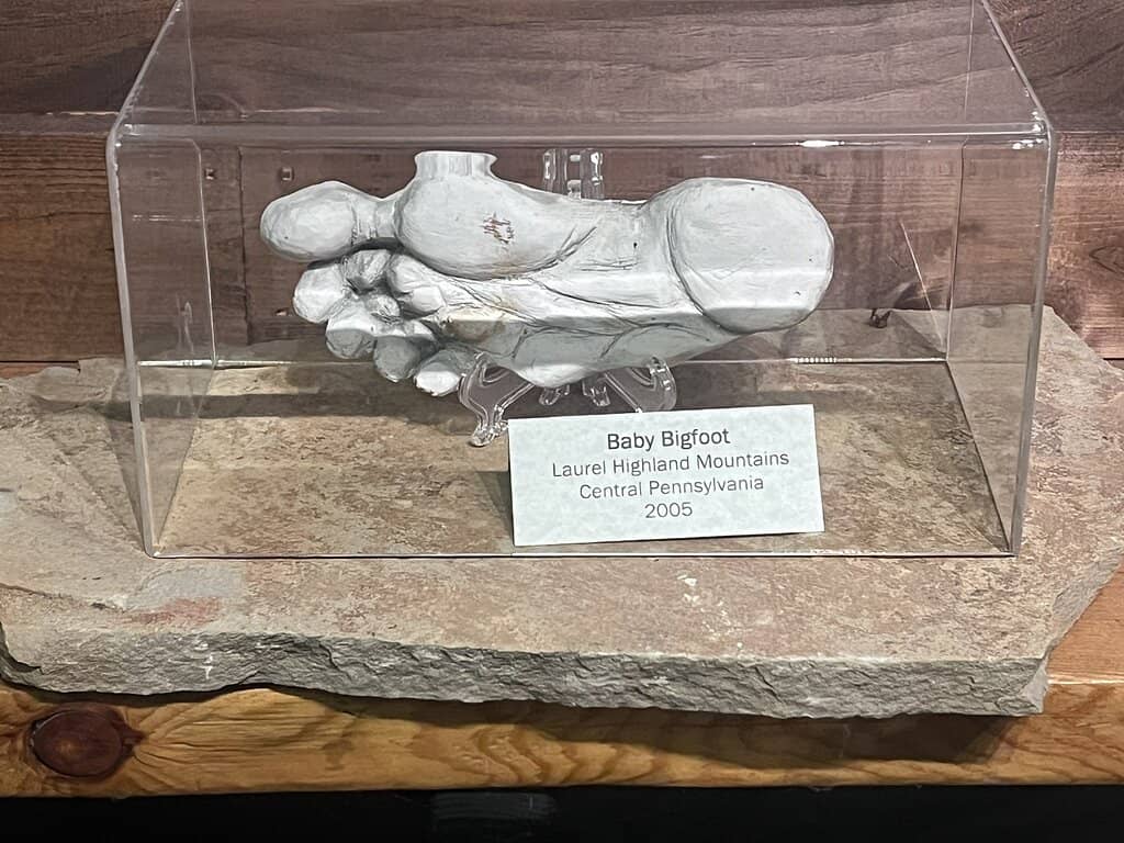 The Infamous Bigfoot Poop