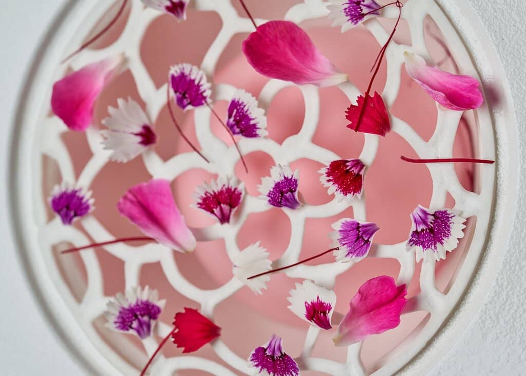 Michelin-Starred Excellence