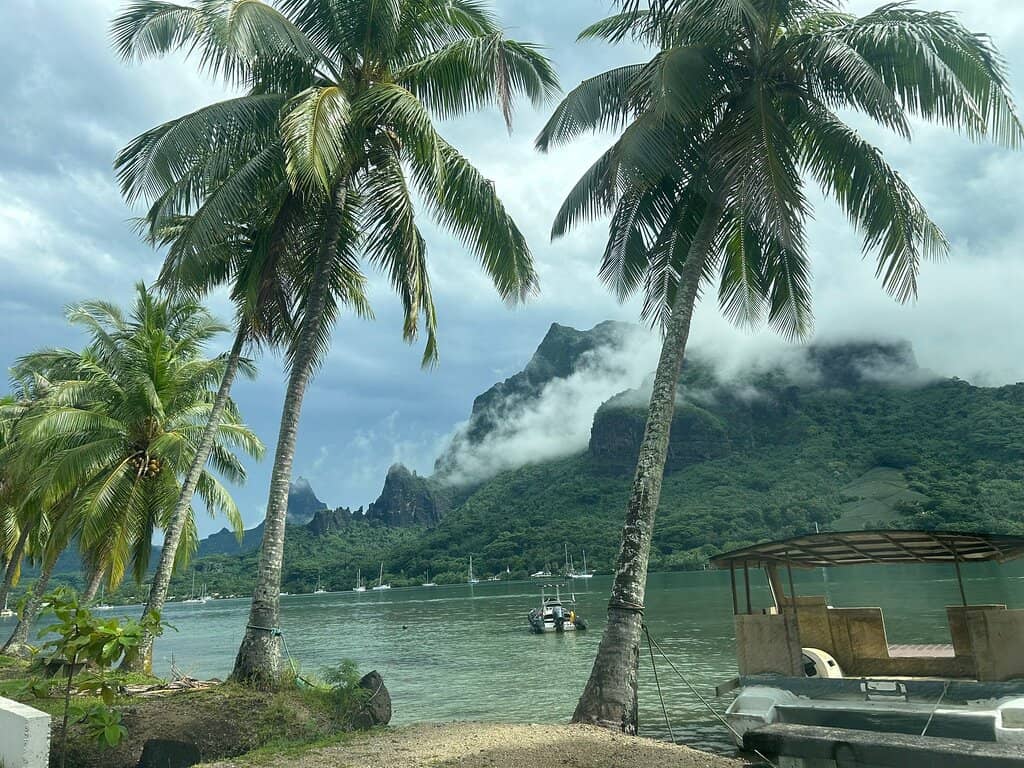 Lush Greenery & Mountain Backdrops