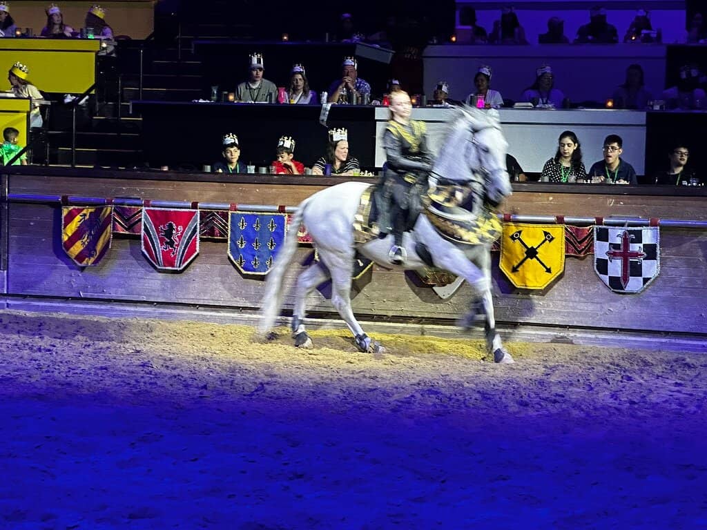 Knightly Horsemanship