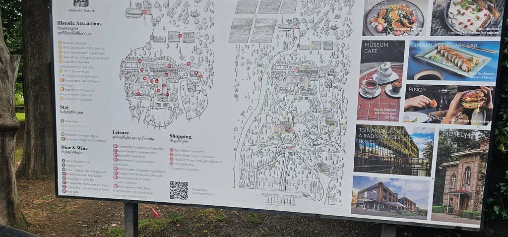 Wine Tasting Experience