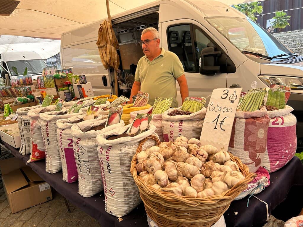 Exotic Fruit Stalls