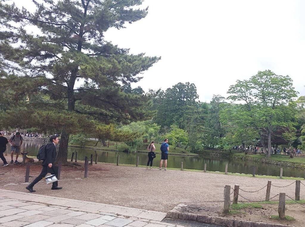 Longevity Pond Sculptures
