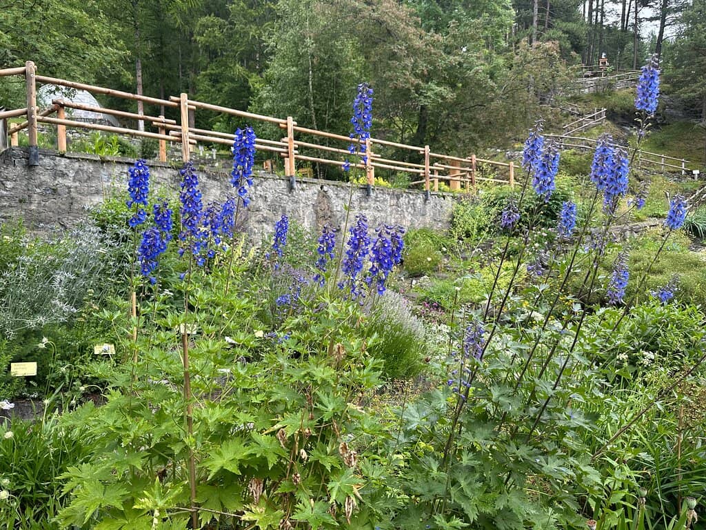 Educational Exhibits