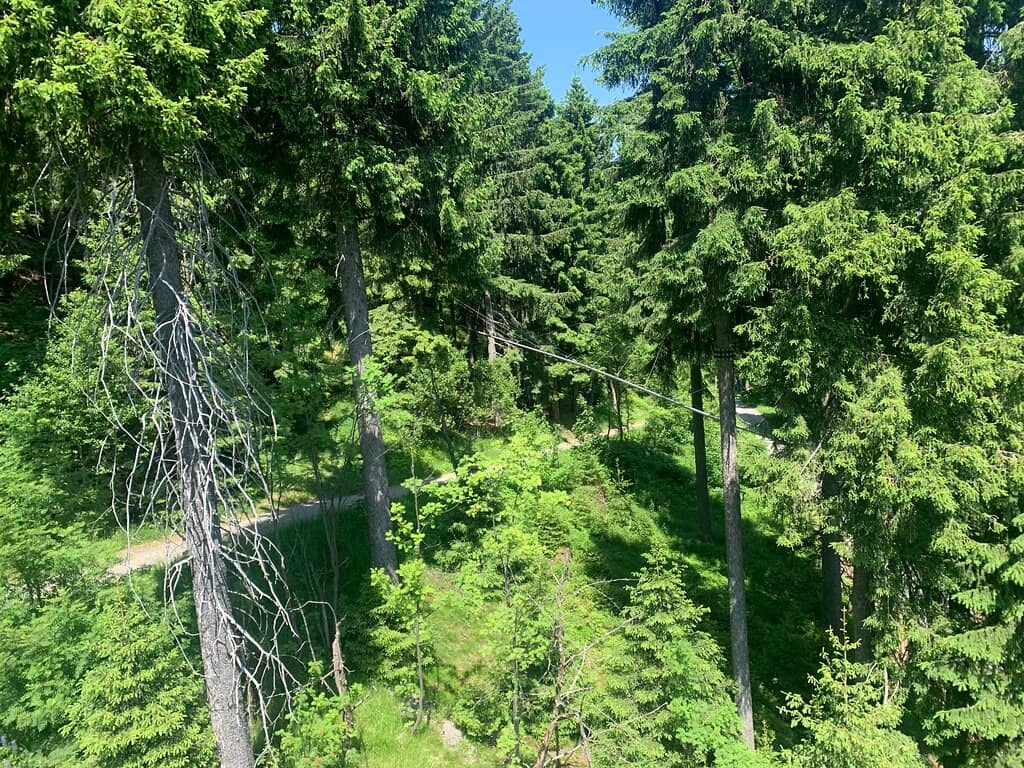 Historic Cable Car Journey