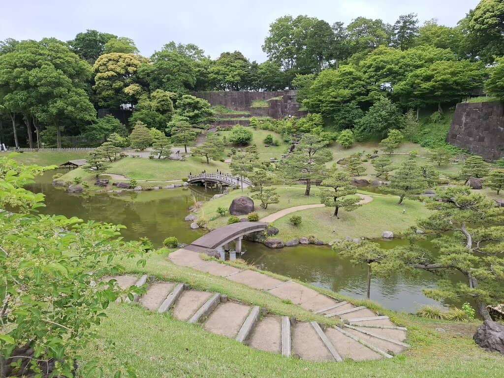 Tranquil Pond Views