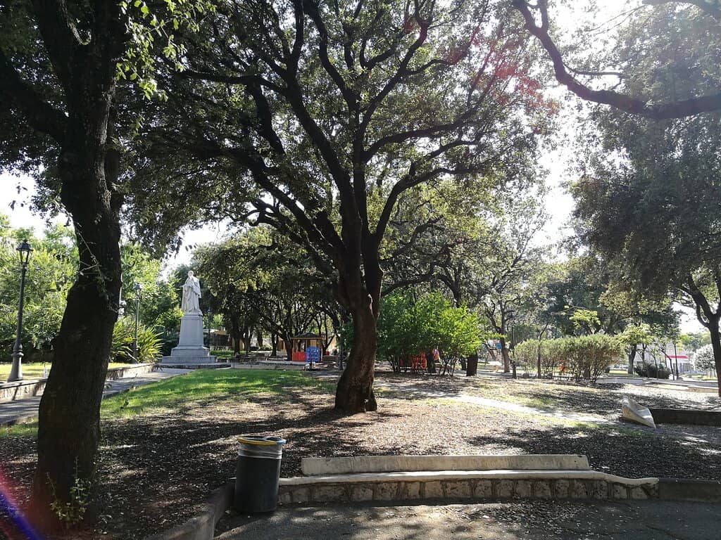Vertical photo