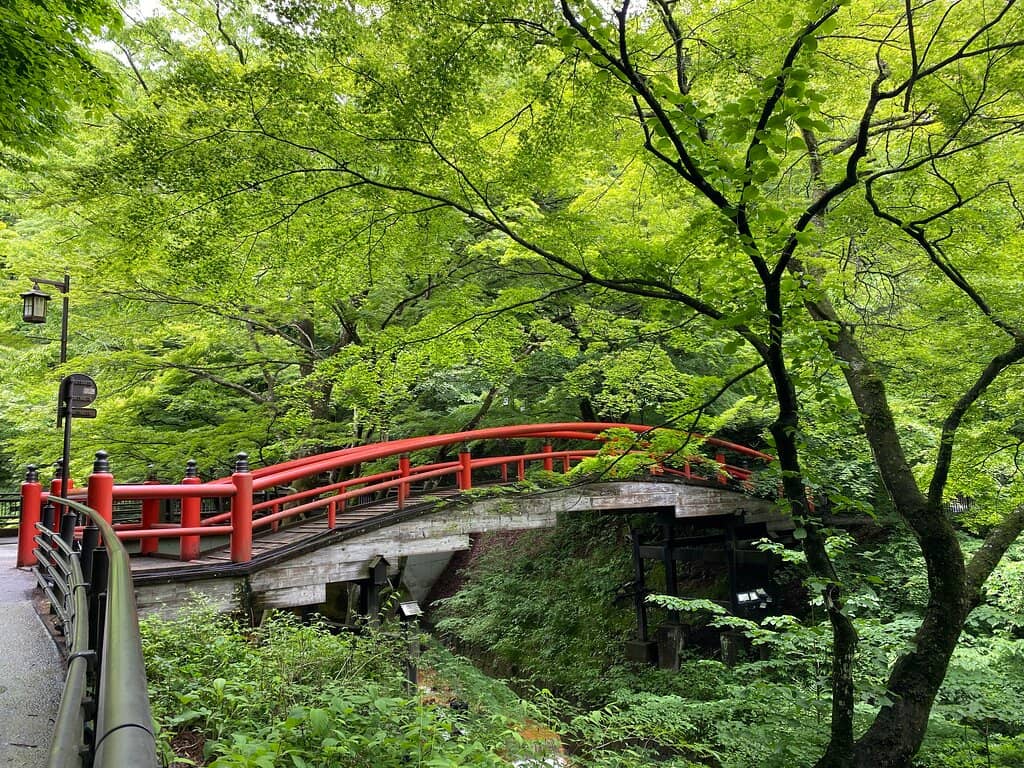Seasonal Foliage Views