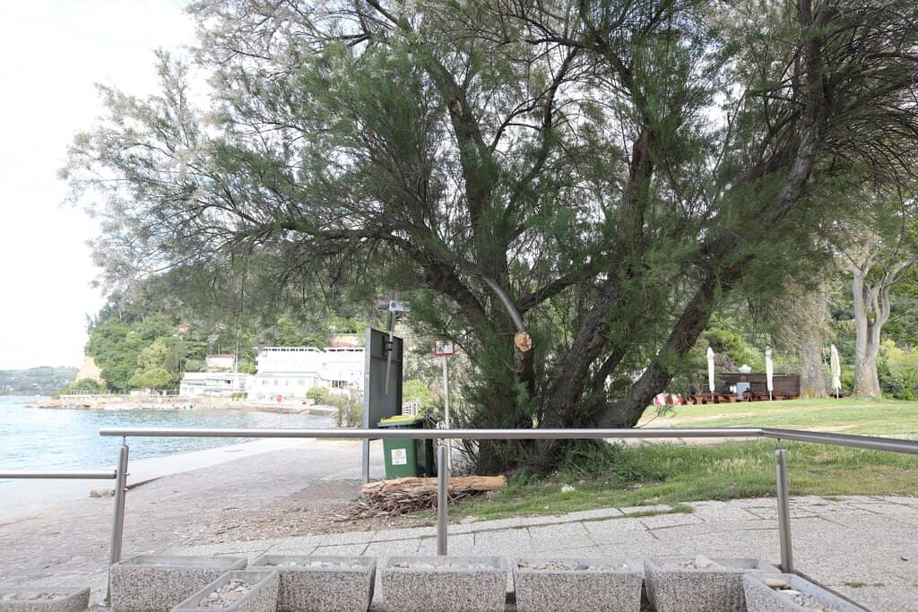 Family-Friendly Shallow Bay