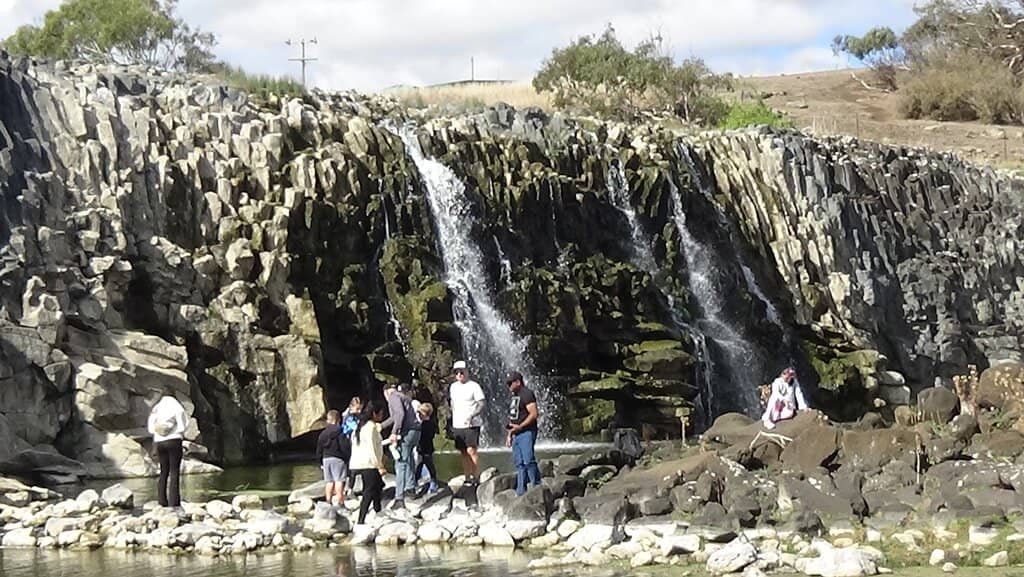 Elevated Viewing Platforms