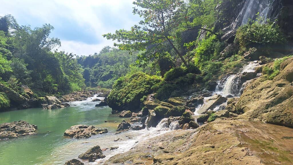 Riverside Trail Adventure