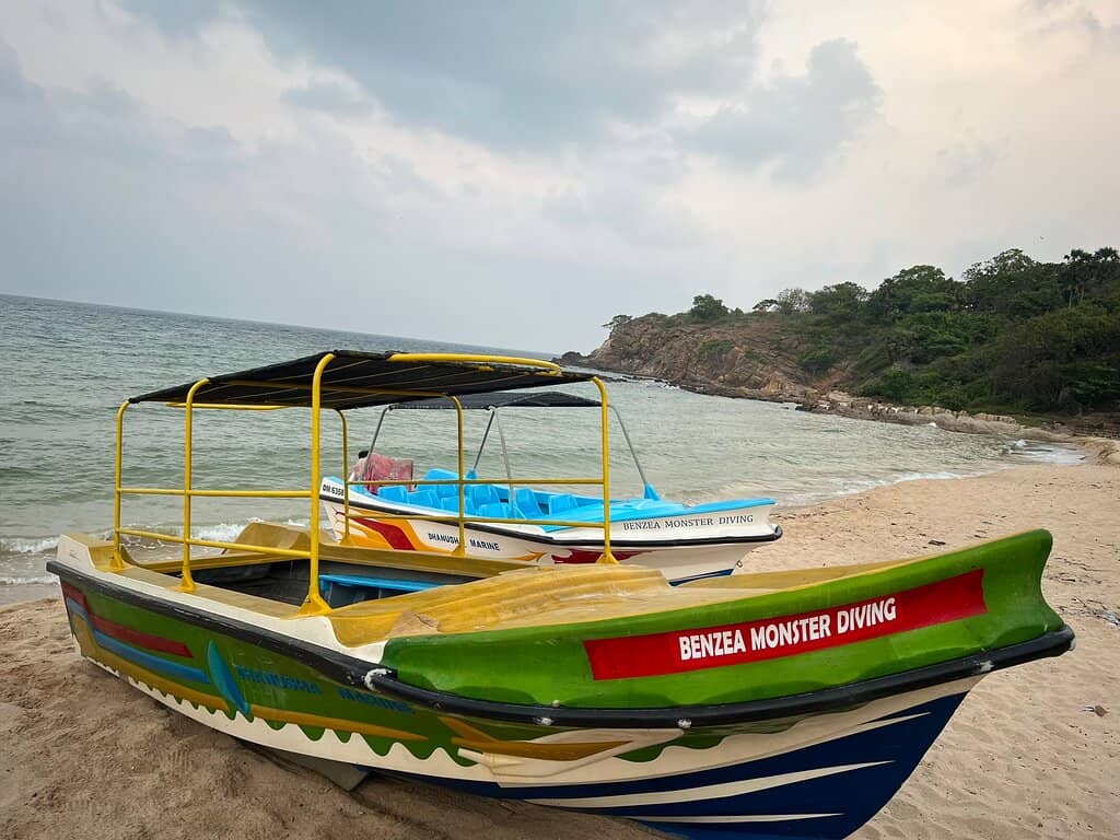 Calm Waters for Swimming