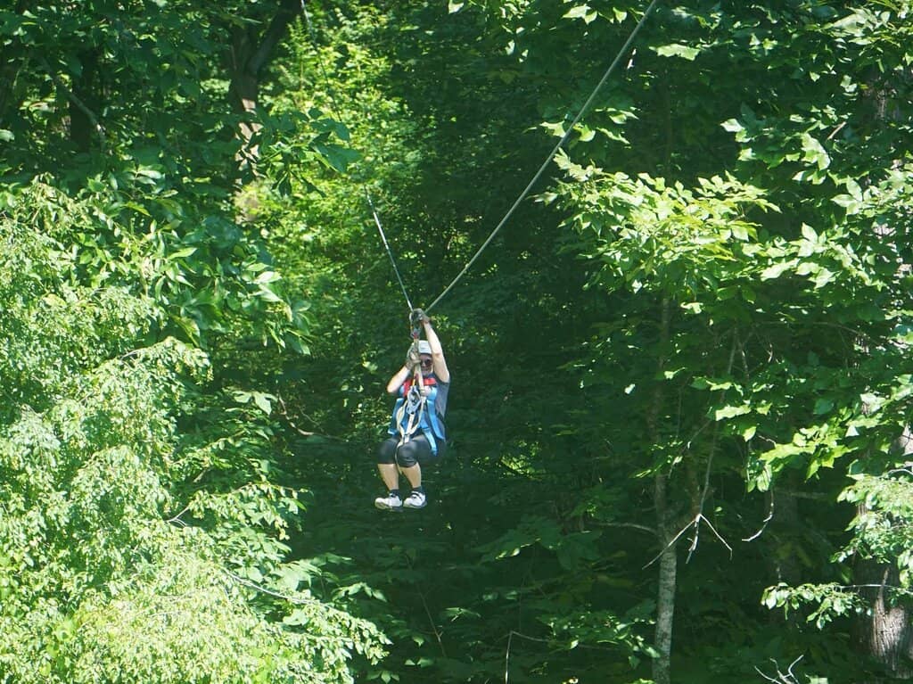 Professional and Entertaining Guides